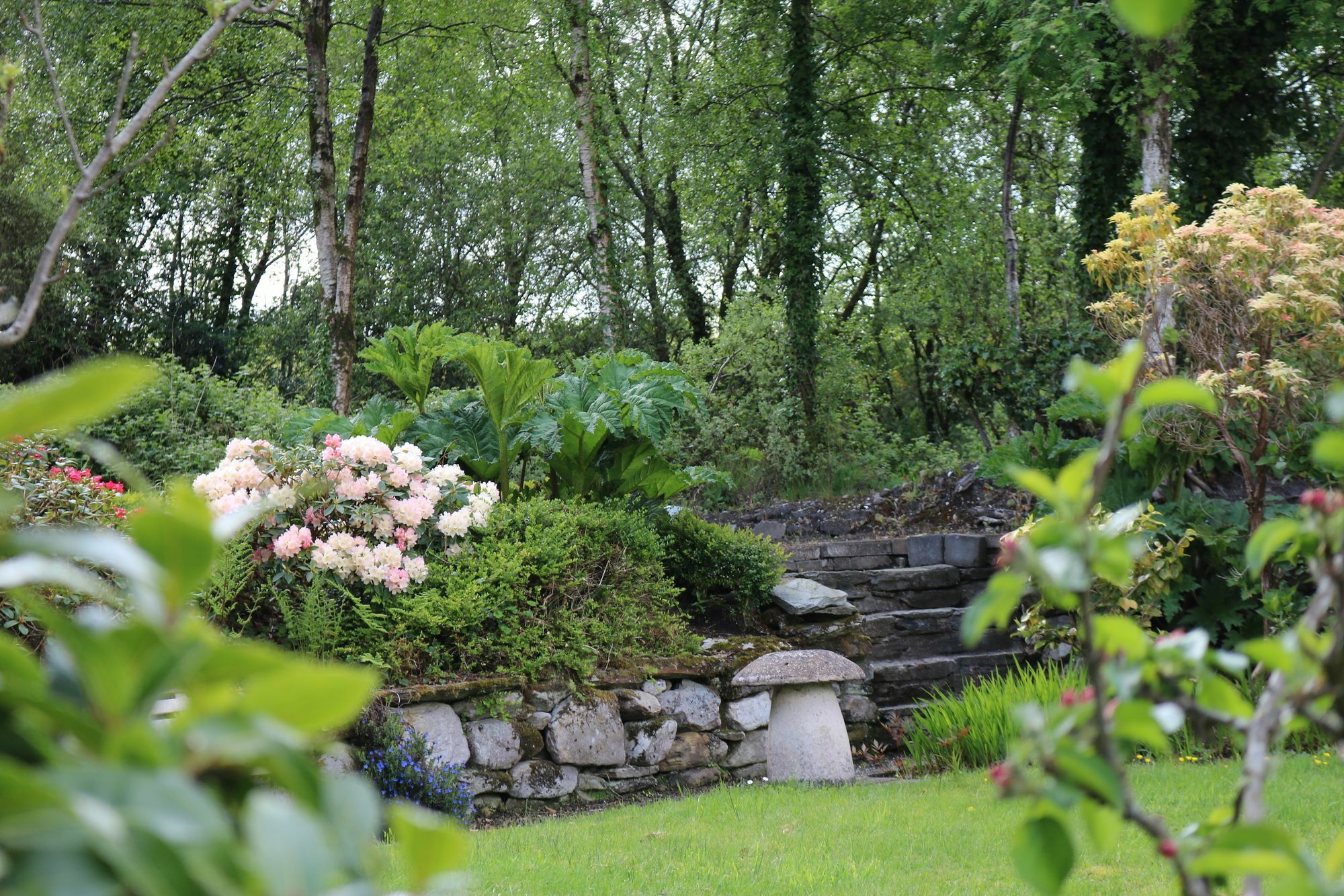 Five Oaks Bed & Breakfast Londonderry Exterior foto